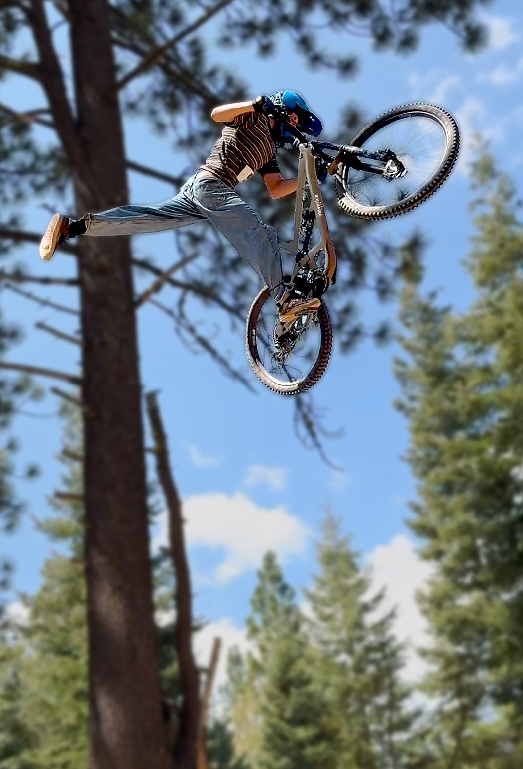 Creative Services & Brand Management in Reno, NV